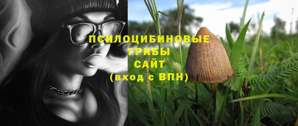 амф Абдулино