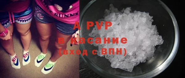 стаф Абинск