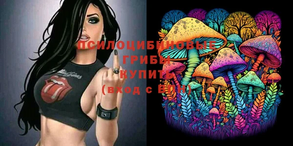 амф Абдулино