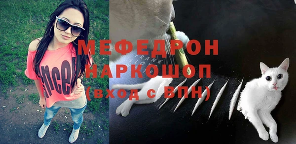 стаф Абинск