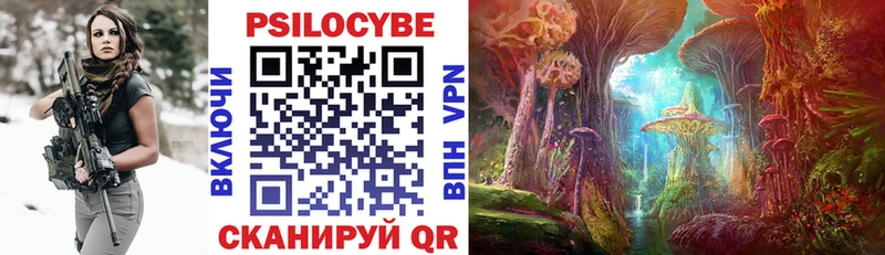 Галлюциногенные грибы Magic Shrooms  даркнет сайт  Ачхой-Мартан 